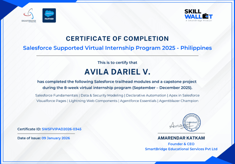 Salesforce Developer